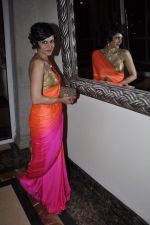 Mandira Bedi at Hindustan Times Mumbai_s Most Stylish 2013 awards in Mumbai on 7th Feb 2013 (27).JPG